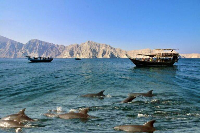 Musandam Destination Alturis tours and Events