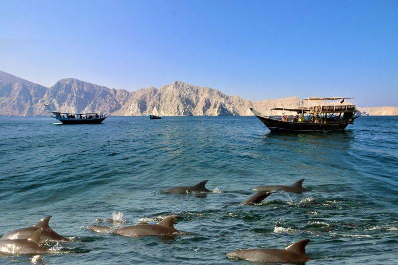 Musandam Destination Alturis tours and Events