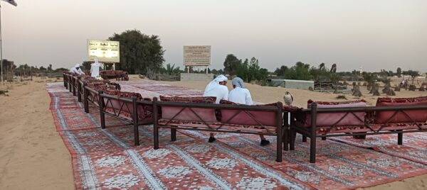 From Checklist to Connection: Your Invitation to Explore